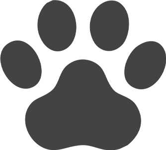 完山美弥子 ねこのて うぃずデザイン