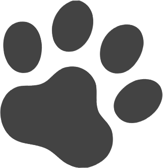完山美弥子 ねこのて うぃずデザイン